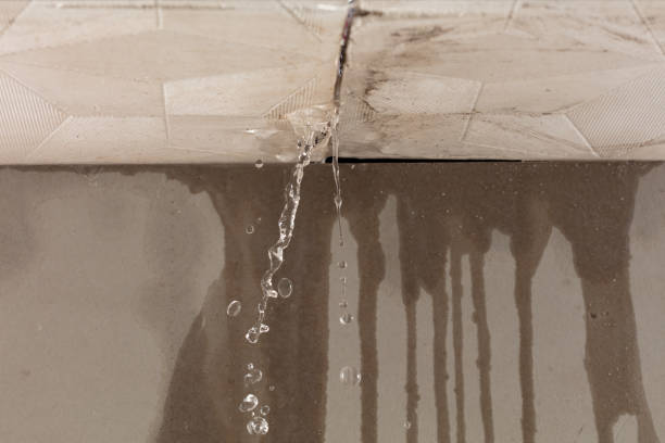 Professional Structural Drying technician working in Deer Park, TX